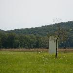 2017OTRA-1_928 (August 27, 2017)